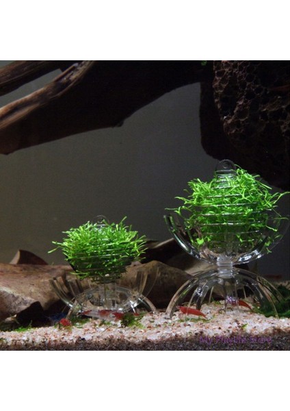 Akvaryum Çok Fonksiyonlu Frimp Besleyici Ispanak Kafesi Yosun Topu Kuru Ispanak Besleme Mama Kasesi Karides Besleme Kafesi C42 (Yurt Dışından) modelleri