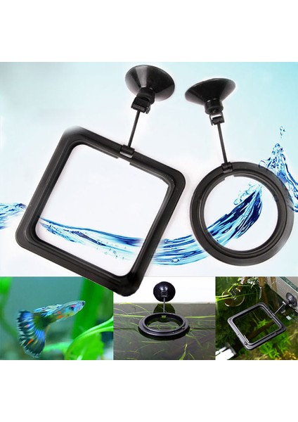Bir Stil Besleme Halkası Akvaryum Balık Tankı Istasyonu Yüzen Balık Besleme Yuvarlak Gıda Katranı Besleyici Squarecircle Ev Balık Besleme Çerçevesi (Yurt Dışından) indirimleri