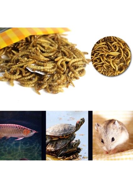 Kurutulmuş Balık Tarzı 50 Gram 30G Kaplumbağa Yemi Çubukları Betta Balık Besleyici Granüller Kurutulmuş Frimp Ekmek Solucanları Sürüngen Akvaryum Terrapin Kaplumbağa Yemi (Yurt Dışından)