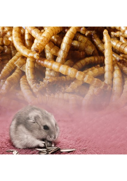 Kurutulmuş Balık Tarzı 50 Gram 30G Kaplumbağa Yemi Çubukları Betta Balık Besleyici Granüller Kurutulmuş Frimp Ekmek Solucanları Sürüngen Akvaryum Terrapin Kaplumbağa Yemi (Yurt Dışından)