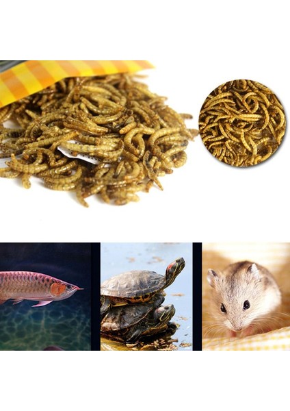 Ekmek Solucanı Tarzı 30G 30G Kaplumbağa Yemi Çubukları Betta Balık Besleyici Granüller Balık Kurutulmuş Solucanlar Kaplumbağa Terrapin Sürüngen Ekmek Karides Akvaryum Foo E9Z4 (Yurt Dışından)