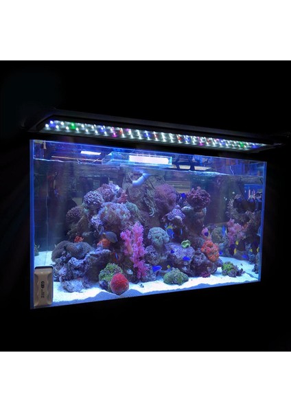 40CM Abd Tarzı Akvaryum LED Işık Süper Ince Balık Tankı Su Bitkisi Aydınlatma Büyümek Su Geçirmez Parlak Klip Lamba Su Dekorasyon Aksesuarları (Yurt Dışından) fırsatları