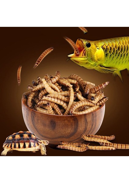 Mavi Stil No.1 Boyutu 140G Doğal Kurutulmuş Mealworm Gıda Yemek Pet Sürüngen Tavukları Beslemek Için Yabani Bahçe Kuş Akvaryum Solucan (Yurt Dışından) modelleri