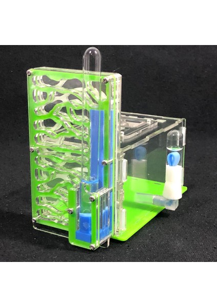 Yeşil Stil 19X16X9.5CM Besleme Alanı ile T Tasarım Dıy Karınca Yuvası, Karınca Çiftliği Akrilik, Böcek Karınca Yuvaları Ev Karıncaları Için Villa Pet Mani (Yurt Dışından)