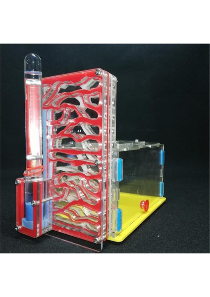 Yeşil Stil 19X16X9.5CM Besleme Alanı ile T Tasarım Dıy Karınca Yuvası, Karınca Çiftliği Akrilik, Böcek Karınca Yuvaları Ev Karıncaları Için Villa Pet Mani (Yurt Dışından) fiyatları