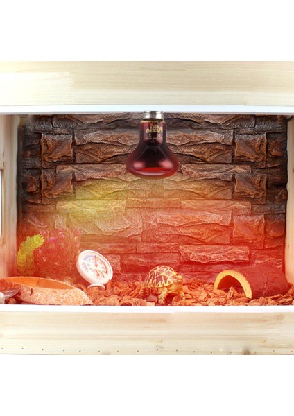 100W Tarzı Amfibi Kuş Yılan Sürüngen Kırmızı Işık Gece Logo ile Isıtma Lambası Kuş Yılan Sürüngen Isı Lambası Tortuga Lampada Kamera (Yurt Dışından) fiyatları