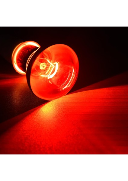 100W Tarzı Amfibi Kuş Yılan Sürüngen Kırmızı Işık Gece Logo ile Isıtma Lambası Kuş Yılan Sürüngen Isı Lambası Tortuga Lampada Kamera (Yurt Dışından) fırsatları