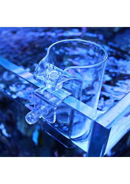 Akvaryum Balık Besleyici Şeffaf Arcylic Yüzen Gıda Besleme Halkası Betta Balık Tankı Karides Besleyici Bitki Tankı Için Besleme Fincan (Yurt Dışından) fiyatları