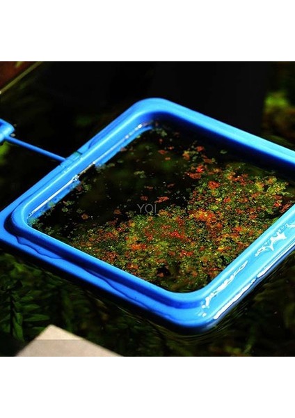 Daire Stili S Beden Besleme Halkası Akvaryum Balık Tankı Istasyonu Yüzer Gıda Katranı Besleyici Squarecircle (Yurt Dışından) fırsatları