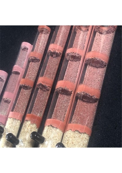 Tüp Boyutu 25-180MM Stili mm Büyük Boy Kolay Nemlendirme Doğal ve Diy Ekolojik Karınca Çiftliği Bambu Test Tüpü Karınca Yuva Tüpleri Kraliçe Karınca Için Karınca Evi (Yurt Dışından) fırsatları