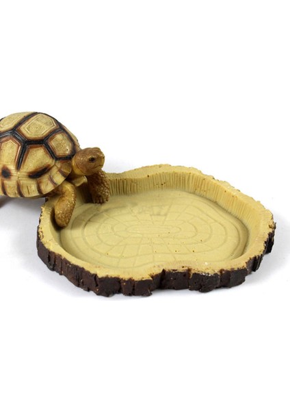 Sürüngen Kaseler - Reçine Gıda Besleme Tabağı Solucan Yemekleri Mealworm Besleyici (Yurt Dışından)