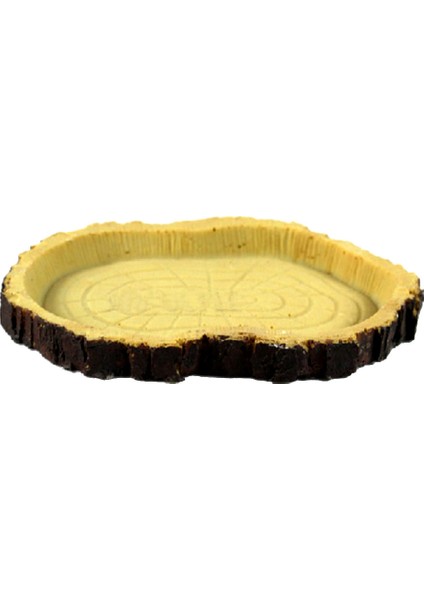 Sürüngen Kaseler - Reçine Gıda Besleme Tabağı Solucan Yemekleri Mealworm Besleyici (Yurt Dışından) fiyatları