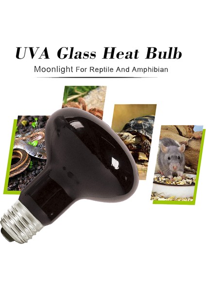 220V 75W Tarzı Bene 2 Pack Sürüngen Mehtap Isıtma Kızılötesi Lambalar Brooder Için Gece Ampulleri, Kaplumbağa, Kertenkele, Sakallı Ejderha Amfibi, Teraryum (Yurt Dışından)