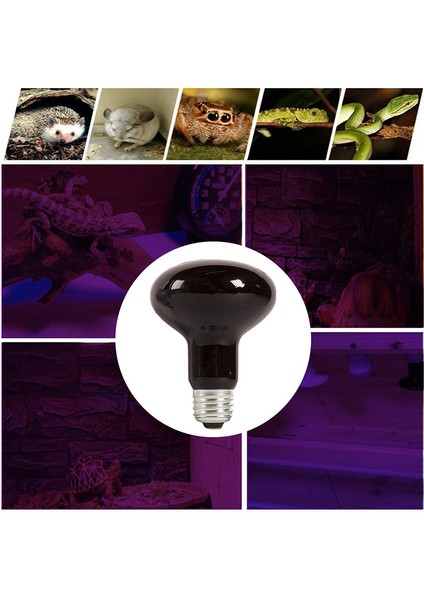 220V 75W Tarzı Bene 2 Pack Sürüngen Mehtap Isıtma Kızılötesi Lambalar Brooder Için Gece Ampulleri, Kaplumbağa, Kertenkele, Sakallı Ejderha Amfibi, Teraryum (Yurt Dışından)