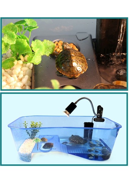 Mavi Stil Sürüngen Vivaryum Kutusu Kaplumbağa Basking Rampa Akvaryum Tankı Yetiştiriciliği ile Kaplumbağa Gıda Aracı Aksesuarları Sağlam Olmayan Deformasyon (Yurt Dışından) fırsatları