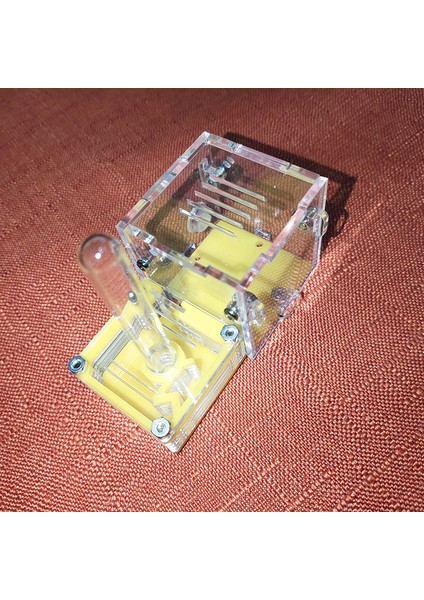 Renk-03 Stili Mini Yeni Kraliçe Karınca Yuvası Karınca Atölyesi Akrilik Çiftlik Küçük Uçak Yuvası Karınca Aksesuarları (Yurt Dışından)