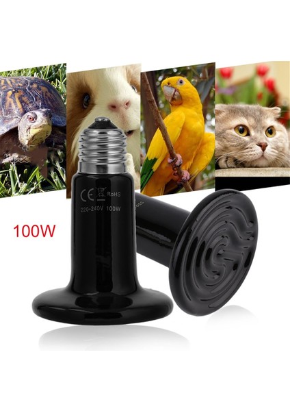 50W Tarzı Pet Isıtma Ampul Seramik Isı Yayıcı Ampul Işık Lambası Sürüngen Kaplumbağa Pet Brooder Için Işık Yayılmaz (Yurt Dışından) modelleri
