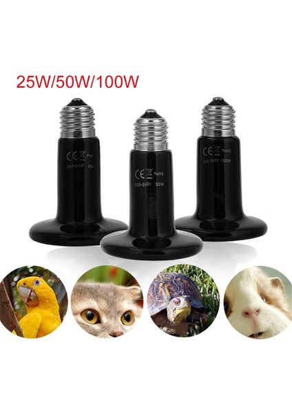 50W Tarzı Pet Isıtma Ampul Seramik Isı Yayıcı Ampul Işık Lambası Sürüngen Kaplumbağa Pet Brooder Için Işık Yayılmaz (Yurt Dışından) fırsatları
