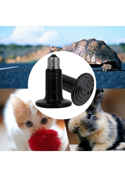 50W Tarzı Pet Isıtma Ampul Seramik Isı Yayıcı Ampul Işık Lambası Sürüngen Kaplumbağa Pet Brooder Için Işık Yayılmaz (Yurt Dışından) indirimleri