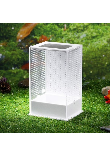 L Tarzı Böcek Yetiştiriciliği Vakası Sürüngen Şeffaf Besleme Kutusu Örümcekler Için Iyi Havalandırma Plastik Habitat Mantisler Kırkayaklar Y5GB (Yurt Dışından) modelleri