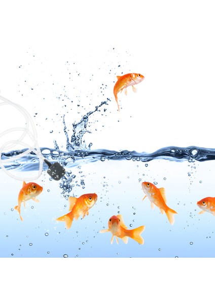 Beyaz Stil Mini Akvaryum Oksijen Hava Pompası Balık Tankı USB Sessiz Hava Kompresörü Havalandırıcı Taşınabilir Mini Küçük Oksijenatör Akvaryum Aksesuarları (Yurt Dışından) fırsatları