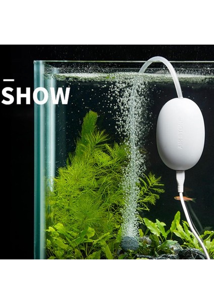 Kırmızı Stil M Beden Akvaryum Oksijen Pompası USB Mini Taşınabilir Verimli Açık Balıkçılık Hava Taş Ultra Sessiz Balık Tankı Hava Pompaları (Yurt Dışından) fırsatları