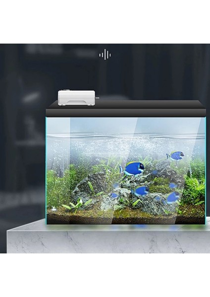 768 Ab Fiş Stili Ultra-Sessiz Akvaryum Hava Pompası 8W Hava Kompresörü Oksijeni Artırmak Için Hava Taşı Için 4 Çıkış Siyah Pompa Hava Balık Tankı Akvaryum (Yurt Dışından) indirimleri