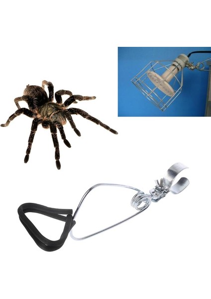 Seramik Ampuller Isıtıcı Için Dro Metal Sürüngen Pet Işık Isıtma Lambası Kelepçe Tutucu (Yurt Dışından)