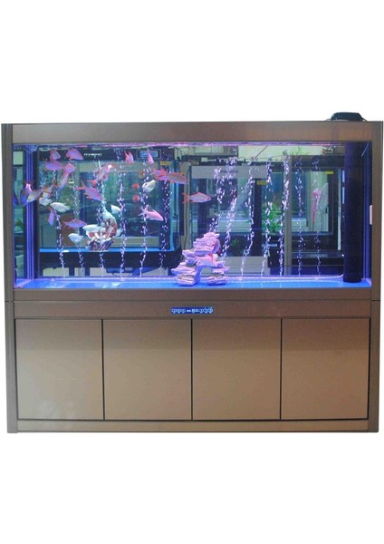 1m Akvaryum Tropikal Standart Havayolu Boru Tee Ortak Manifold Connectiotraight Ortak 2 Adet Hava Taş Durdurma Vanası (Yurt Dışından) fırsatları