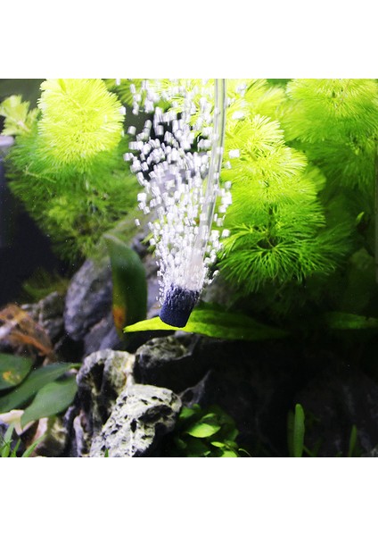 4 mm Giriş Tarzı 1.5x1.0cm 2 Adet Akvaryum Küçük Kabarcık Taş Silindir Şekli Hava Taş Balık Tankı Oksijen Taşı Hava Pompası Hidroponik Sistemi Için Kabarcık Difüzör (Yurt Dışından) modelleri