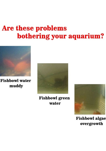 Bir Stil Kontrol Çözümü Akvaryumları ve Gölet Sularını Tutmak Için Su Si Iyileştiricisi Akvaryum Balıkları Tankı Havuz Yosunu Için Temiz Alg Sökücü (Yurt Dışından) fırsatları