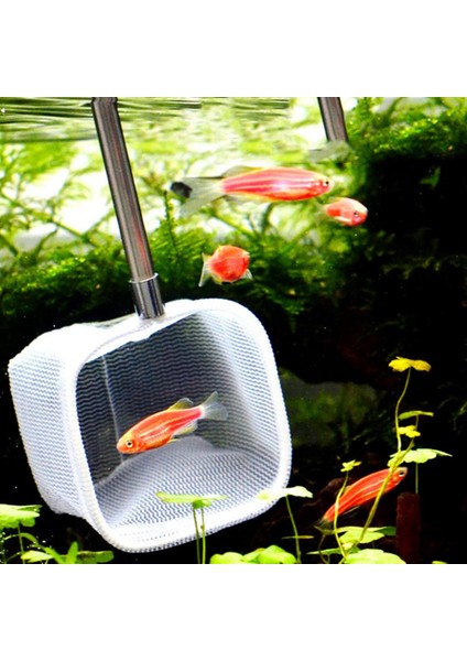 Rastgele Renk Stili Büyük Yuvarlak Balık Ağı Taşınabilir Mini Ayarlanabilir Telescorimp Balık Ağı Örgü Akvaryum Aksesuarı Temizleme Araçları Balık Pet Tedarik (Yurt Dışından) fırsatları
