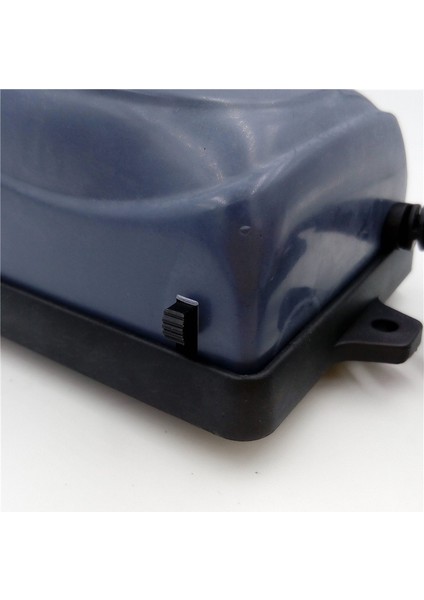 Resim Stili Olarak Tek Boyut 5W Akvaryum Hava Pompası Ultra Sessiz Balık Tankı Hava Pompası Çift Çıkışlı Artan Oksijen Havalandırıcı Ab Tak (Yurt Dışından) fırsatları