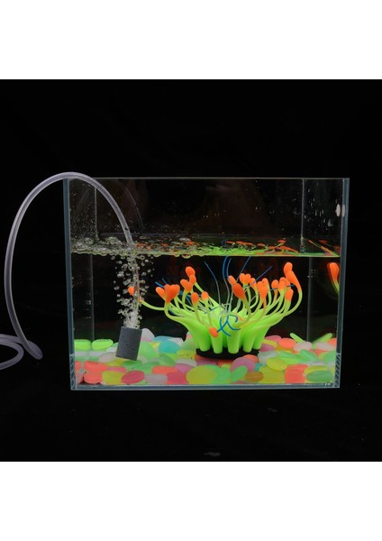 Yeşil Stil Sessiz USB Küçük Hava Kabarcık Disk Taş Havalandırıcı Akvaryum Balık Tankı Gölet Pompası Hidroponik Oksijen Hortumu Siyah (Yurt Dışından) fırsatları