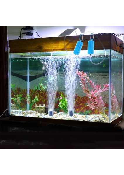 Yeşil Stil Sessiz USB Küçük Hava Kabarcık Disk Taş Havalandırıcı Akvaryum Balık Tankı Gölet Pompası Hidroponik Oksijen Hortumu Siyah (Yurt Dışından) indirimleri