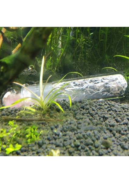 B Tarzı 1 Adet Balık Tankı Haşere Yakalama Tuzağı Sucul Planaria Catcher Solucan Tuzağı Cam Temizleyici Aracı Sm (Yurt Dışından) modelleri