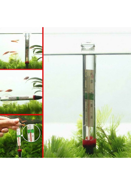 Longbangdian Shop Akvaryum Termometresi Dalgıç Cam Balık Tankı Termometre Aksesuarları Su Sıcaklığı Ölçme Su Geçirmez Vantuz (Yurt Dışından)