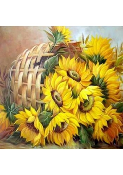 Canvas Sepette Çiçek Sayılarla Boyama Seti Kasnaklı 40 x 50 cm