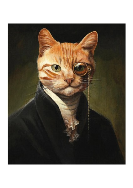 Canvas Kedinin Asilliği Sayılarla Boyama Seti Kasnaklı 40 x 50 cm