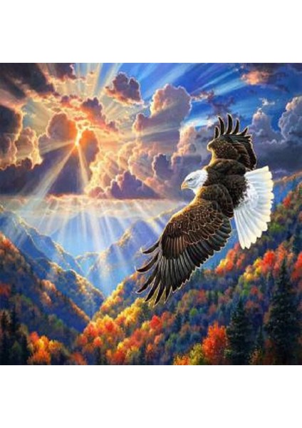 Canvas Kartal Sayılarla Boyama Seti Kasnaklı 40 x 50 cm