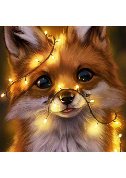 Canvas LED Işıklı Tilki Sayılarla Boyama Seti Kasnaklı 40 x 50 cm
