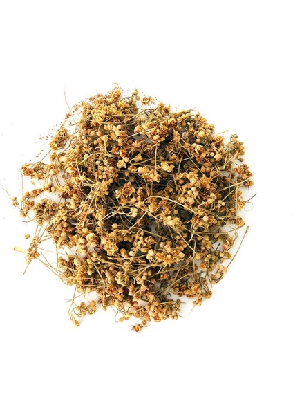 Mevlana Ihlamur Çay 1 kg