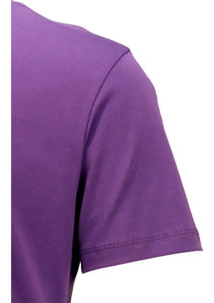 Erkek Bisiklet Yaka Standart Fit Mor T-Shirt modelleri