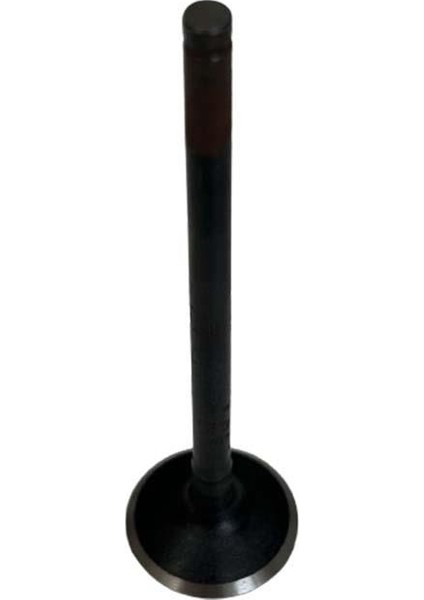 Bajaj Dominar D250 2020-2024 1 Adet Subap Egzoz Subabı A