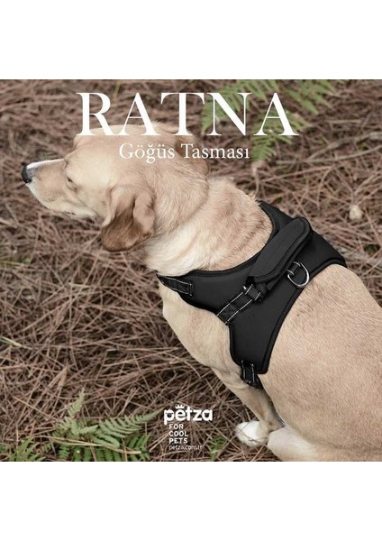 Köpek Göğüs Tasması Ratna Siyah