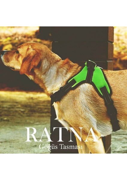 Köpek Göğüs Tasması Ratna Sarı fiyatları