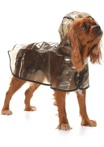 Köpek Küçük ve Orta Irk Yağmurluk Otso Şeffaf Siyah