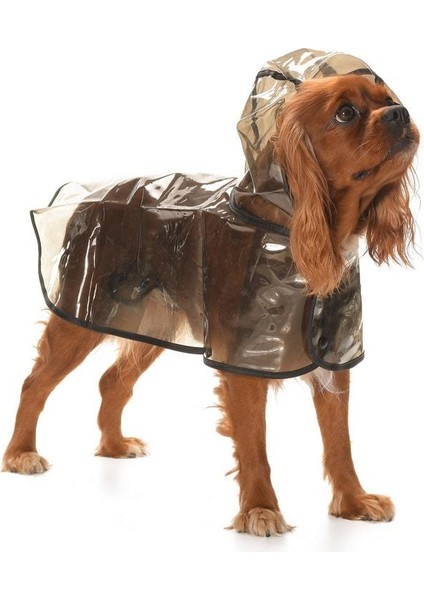 Köpek Küçük ve Orta Irk Yağmurluk Otso Şeffaf Siyah modelleri