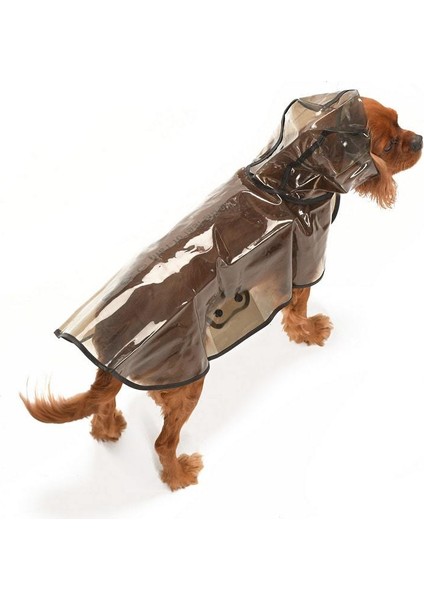 Köpek Küçük ve Orta Irk Yağmurluk Otso Şeffaf Siyah fırsatları