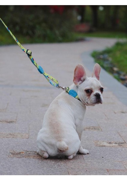 Köpek Gezdirme Tasması Hi Dream Lemon Pie